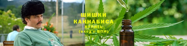 твердый Алзамай