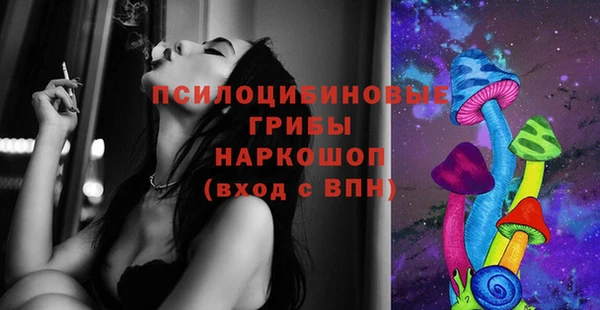 PSILOCYBIN Алексин