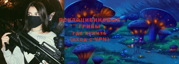 PSILOCYBIN Алексин
