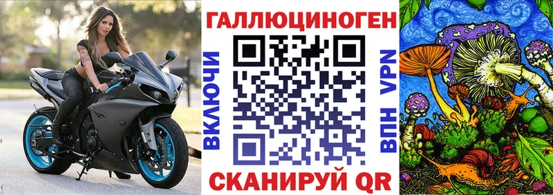 Купить закладки  Ейск  Галлюциногенные грибы GOLDEN TEACHER 